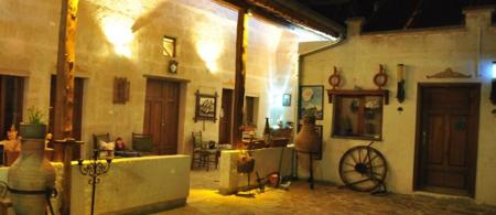 Bir Kedi Villa