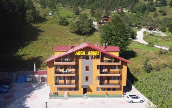 Auga Apart