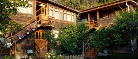 Türkmen Ağaç Evleri