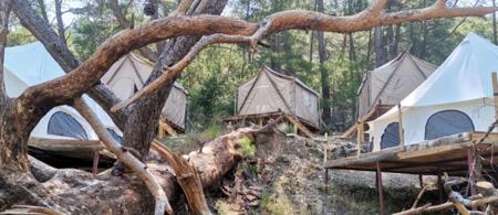 Yalın Ayak Olimpos