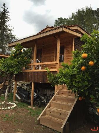 Olympos Baykus Lodge