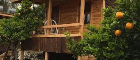 Olympos Baykus Lodge