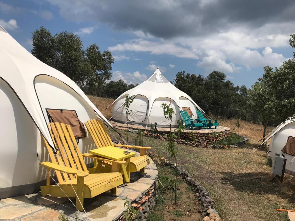Mola Glamping
