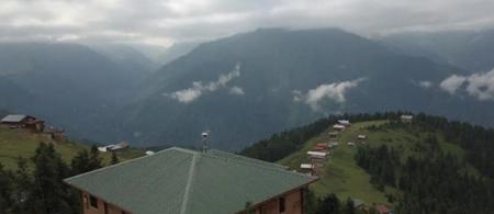 Pokut Orion