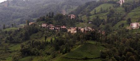 Kayi Pansiyon