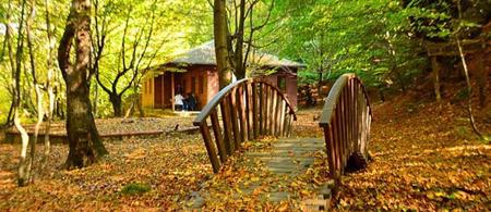 Kırkahvesi Garden - Campsite