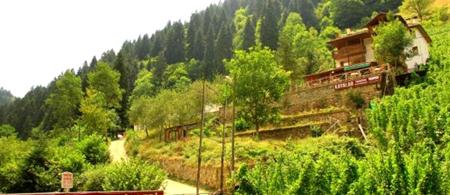Kayalar Pansiyon