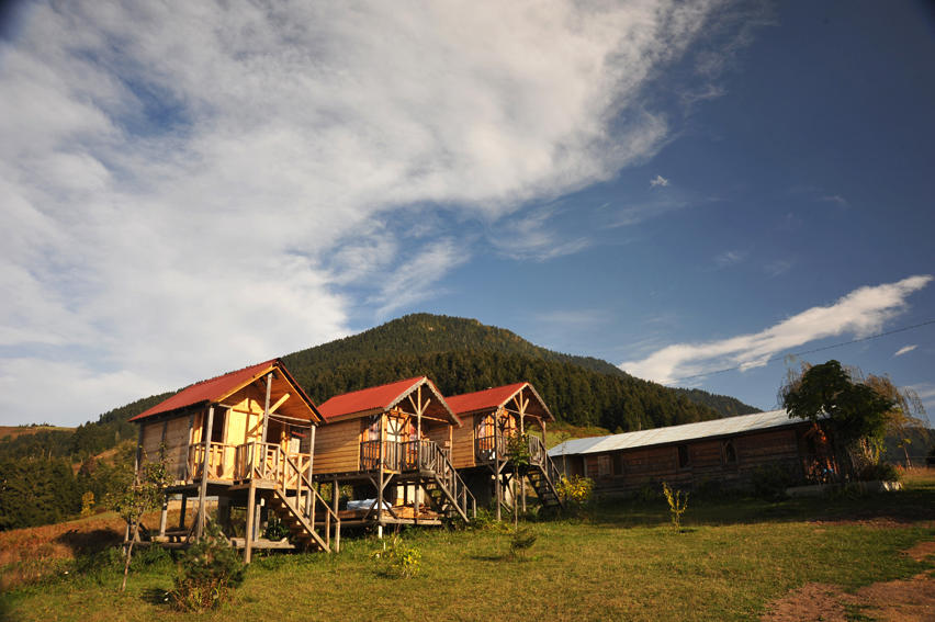 Pilav Dagi Yavuzyilmaz Tesisleri (Yates)