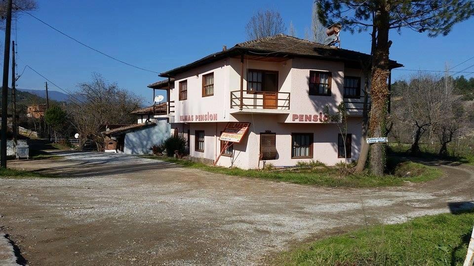 Elmas Pension