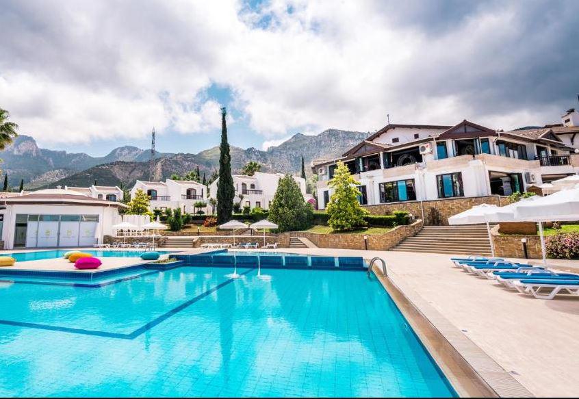 The Olive Tree Hotel