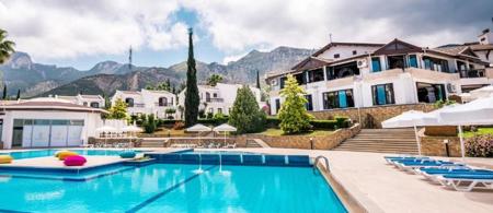 The Olive Tree Hotel