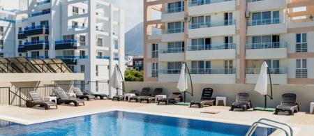 Olivia Palm Hotel 