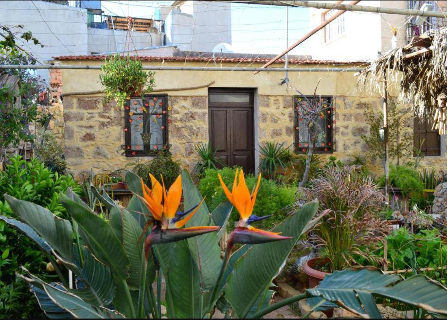 Mystery Garden Guest House