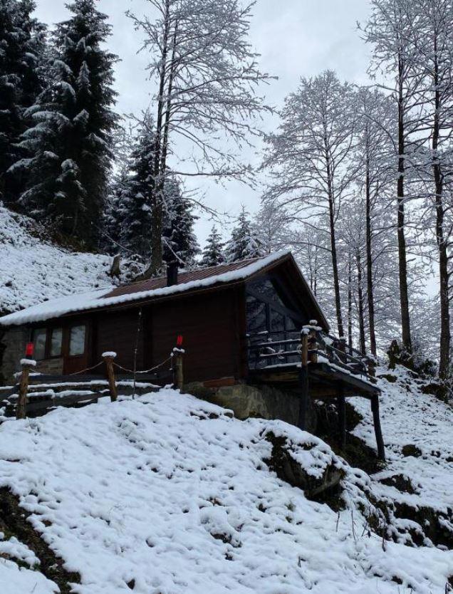 Ayder Güven Dağ Evi