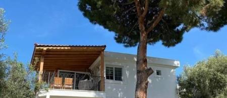 Foga Beach Homes
