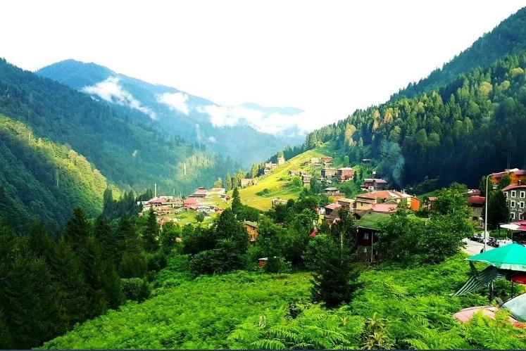 Ayder Bizum Apart Otel