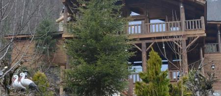 Abant Yesil Ev