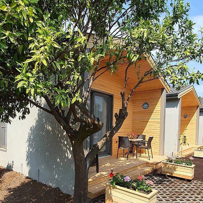 Zeytin Çiçegi Evleri