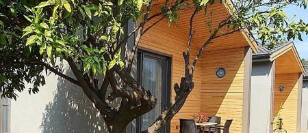 Zeytin Çiçegi Evleri