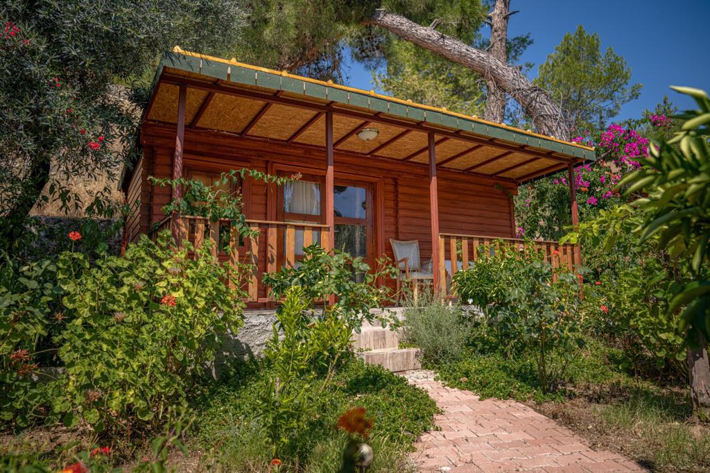 Felicity Hotel & Bungalows