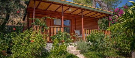 Felicity Hotel & Bungalows