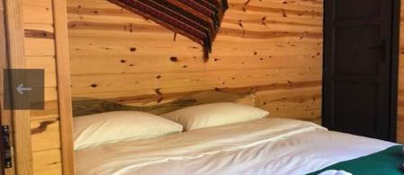 Hostel Viking